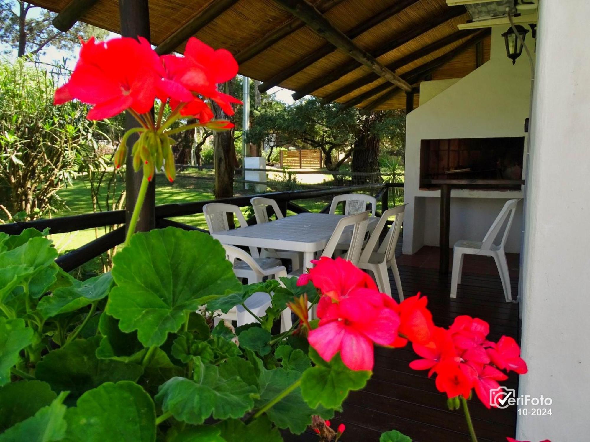 Bungalows Punta Colorada Piriápolis Dış mekan fotoğraf