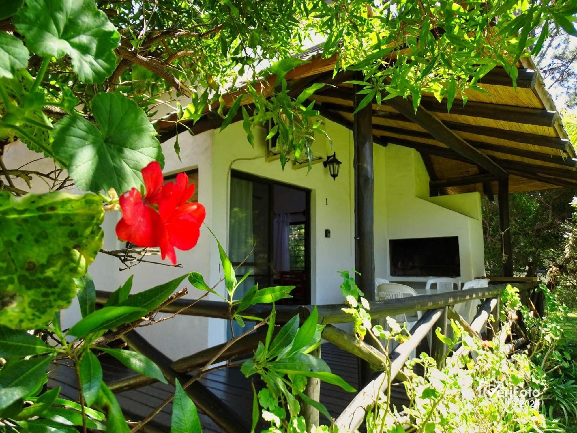 Bungalows Punta Colorada Piriápolis Dış mekan fotoğraf